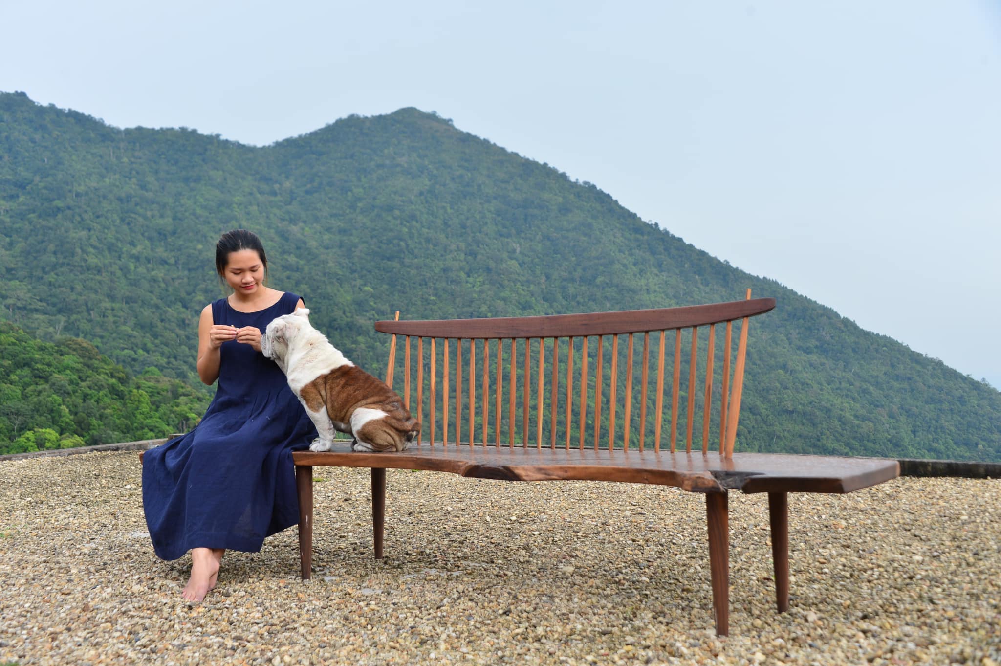 Ghế Bảng | CIA_BENCH 01